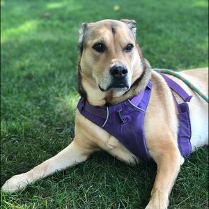 Meet your Posher, Blake